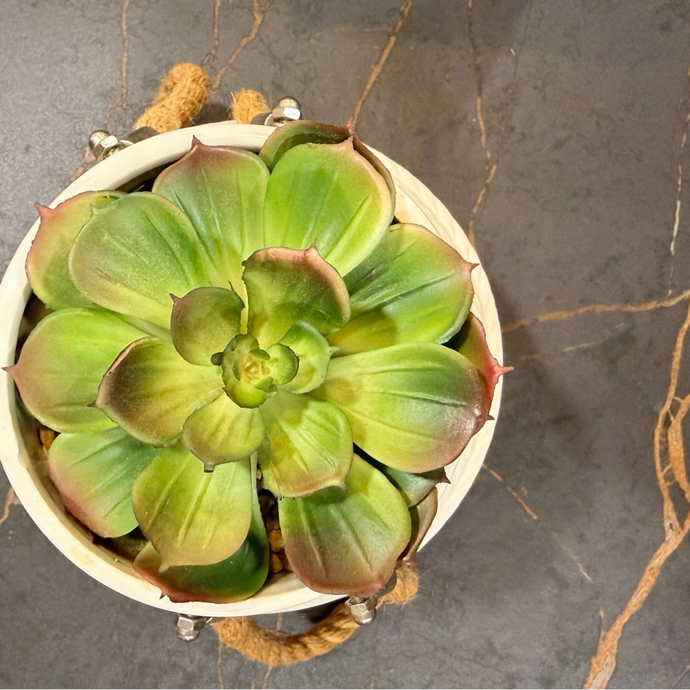 Two-Tone Ceramic Succulent Planter with Rope Handles - Picture 2 of 7
